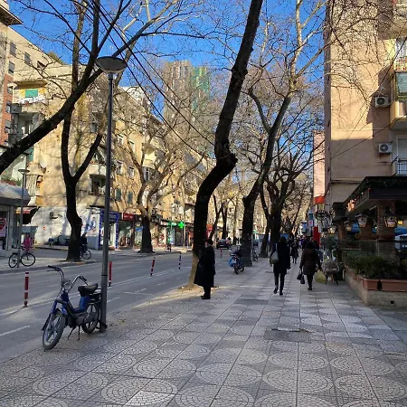 Bricks 地拉那